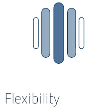 Flexibility